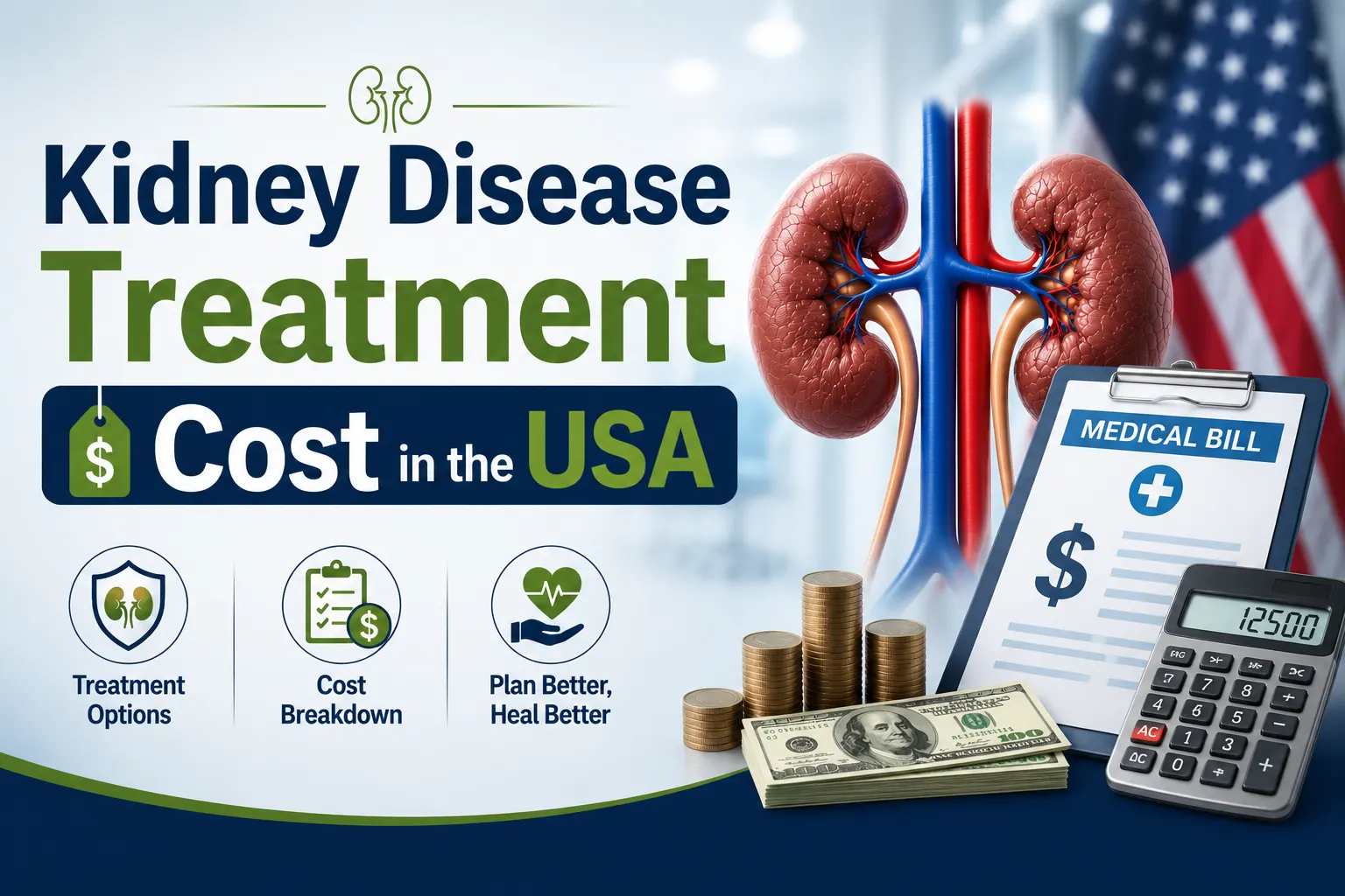 How Much Does Kidney Disease Treatment Cost in the USA?